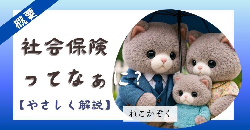サムネ【概要】社会保険ってなあに～やさしく解説～